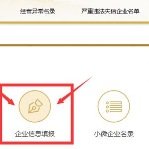 國家企業(yè)信用信息公示系統(tǒng)企業(yè)年報網上公示填寫說明