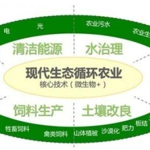 辦一個生態(tài)循環(huán)養(yǎng)殖農(nóng)場需要什么手續(xù)？申請流程是什么？