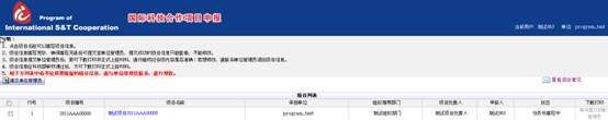 申報系統(tǒng)的項目列表界面