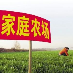 自辦家庭農(nóng)場政府有扶持政策嗎？