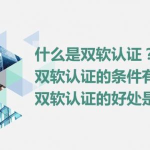 什么是雙軟認證？雙軟認證的條件是什么？雙軟認證的好處有哪些？