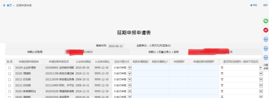 填寫(xiě)延期申報(bào)申請(qǐng)單信息