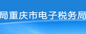 重慶市電子稅務(wù)局票種核定信息操作流程說(shuō)明