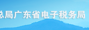 廣東省電子稅務局稅務登記信息查詢以操作說明