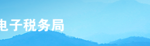 上海市電子稅務(wù)局補(bǔ)建車購(gòu)稅登記信息操作流程說明