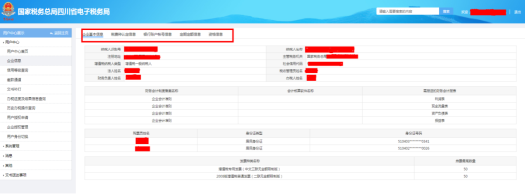 四川省電子稅務(wù)局納稅人信息