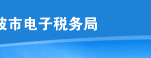 寧波市電子稅務(wù)局發(fā)票票種核定操作流程說明