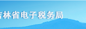 吉林省電子稅務(wù)局居民企業(yè)（查賬征收）企業(yè)所得稅年度申報填寫說明