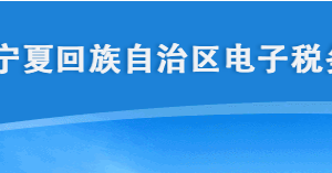 寧夏電子稅務(wù)局申報(bào)信息查詢普惠性稅收減免操作說明