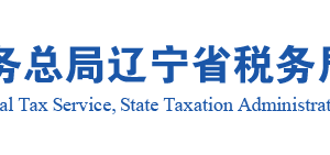 遼寧省電子稅務局移動辦稅APP定期定額戶自行申報流程說明