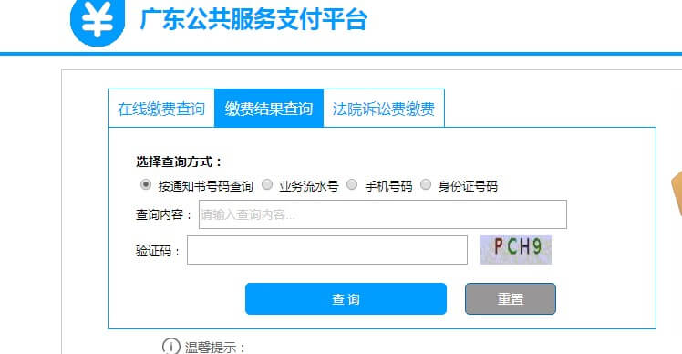 繳費(fèi)結(jié)果查詢