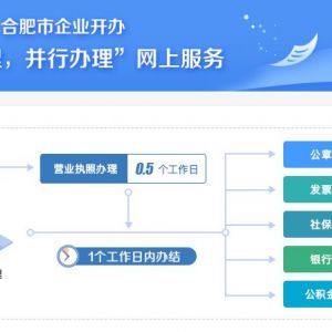 合肥市企業(yè)開辦“一窗受理，并行辦理”網(wǎng)上服務(wù)平臺(tái)公司注冊(cè)操作指南