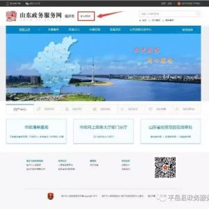 平邑縣網(wǎng)上政務(wù)服務(wù)大廳入口及辦事流程說明