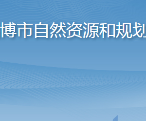 淄博市自然資源和規(guī)劃局各部門對(duì)外聯(lián)系電話