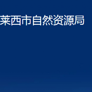 萊西市自然資源局各部門對外聯(lián)系電話