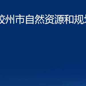 膠州市自然資源和規(guī)劃局各部門(mén)辦公時(shí)間及聯(lián)系電話