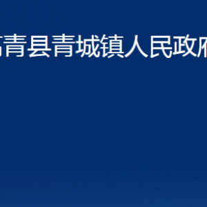 高青縣青城鎮(zhèn)人民政府各部門對(duì)外聯(lián)系電話