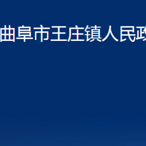 曲阜市王莊鎮(zhèn)政府為民服務(wù)中心聯(lián)系電話及地址