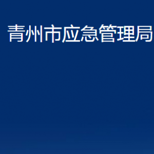 青州市應(yīng)急管理局各部門(mén)對(duì)外聯(lián)系電話