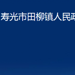 壽光市田柳鎮(zhèn)政府各部門對(duì)外聯(lián)系電話