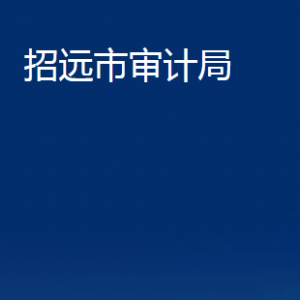 招遠市審計局各部門對外聯(lián)系電話