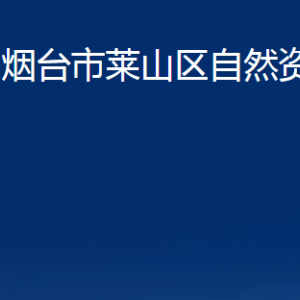 煙臺(tái)市萊山區(qū)自然資源局各部門(mén)對(duì)外聯(lián)系電話(huà)