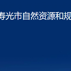 壽光市自然資源和規(guī)劃局各部門(mén)職責(zé)及對(duì)外聯(lián)系電話