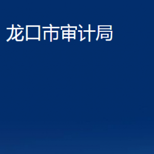 龍口市審計(jì)局各部門(mén)對(duì)外聯(lián)系電話