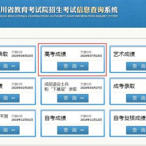 四川省教育考試院各部門(mén)業(yè)務(wù)咨詢(xún)電話