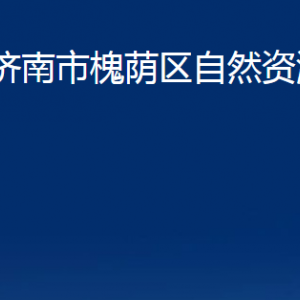 濟(jì)南市槐蔭區(qū)自然資源局各部門職責(zé)及聯(lián)系電話