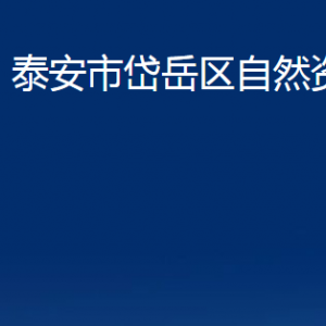 泰安市岱岳區(qū)自然資源局各部門職責及聯(lián)系電話