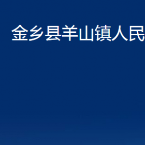 金鄉(xiāng)縣羊山鎮(zhèn)政府為民服務(wù)中心對(duì)外聯(lián)系電話及地址