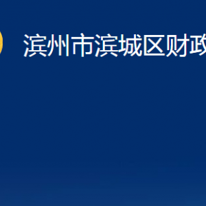 濱州市濱城區(qū)財(cái)政局各部門(mén)職責(zé)及對(duì)外聯(lián)系電話