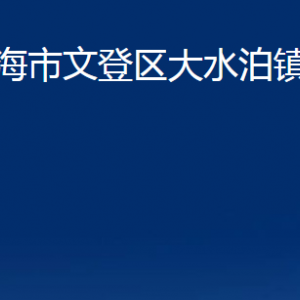 威海市文登區(qū)大水泊鎮(zhèn)政府便民服務(wù)中心對(duì)外聯(lián)系電話