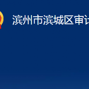 濱州市濱城區(qū)審計局各部門職責(zé)及對外聯(lián)系電話