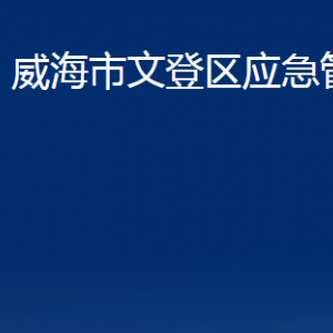 威海市文登區(qū)應(yīng)急管理局各部門對外聯(lián)系電話