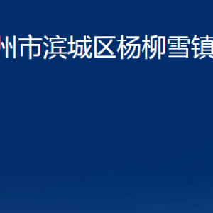 濱州市濱城區(qū)楊柳雪鎮(zhèn)政府便民服務(wù)中心辦公時(shí)間及聯(lián)系電話