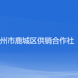 溫州市鹿城區(qū)供銷合作社各部門負(fù)責(zé)人和聯(lián)系電話