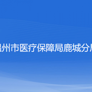 溫州市醫(yī)療保障局鹿城分局各部門(mén)負(fù)責(zé)人和聯(lián)系電話