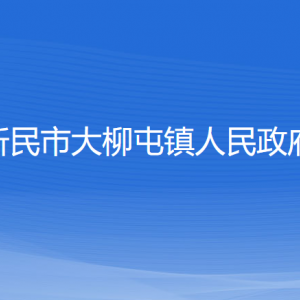 新民市大柳屯鎮(zhèn)政府各部門負責人和聯(lián)系電話