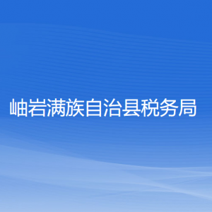 岫巖滿族自治縣稅務局涉稅投訴舉報及納稅服務電話