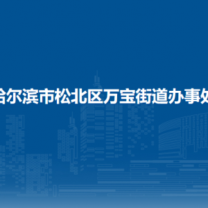 哈爾濱市松北區(qū)萬(wàn)寶街道辦事處各部門(mén)職責(zé)及聯(lián)系電話