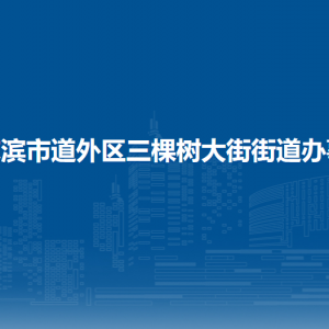 哈爾濱市道外區(qū)三棵樹(shù)大街街道各部門(mén)職責(zé)及聯(lián)系電話