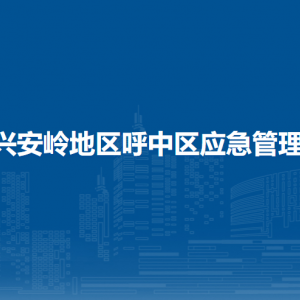 大興安嶺地區(qū)呼中區(qū)應(yīng)急管理局各部門職責(zé)及聯(lián)系電話