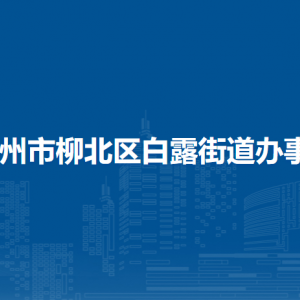 柳州市柳北區(qū)白露街道辦事處各部門工作時間及聯(lián)系電話