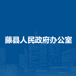 藤縣人民政府辦公室各部門負(fù)責(zé)人和聯(lián)系電話