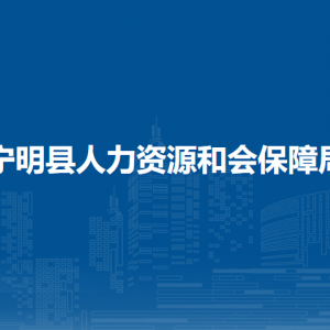 寧明縣人力資源和社會(huì)保障局各部門(mén)聯(lián)系電話