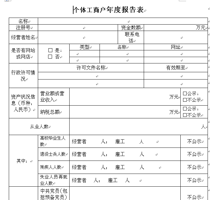 西安個體戶年度報告表