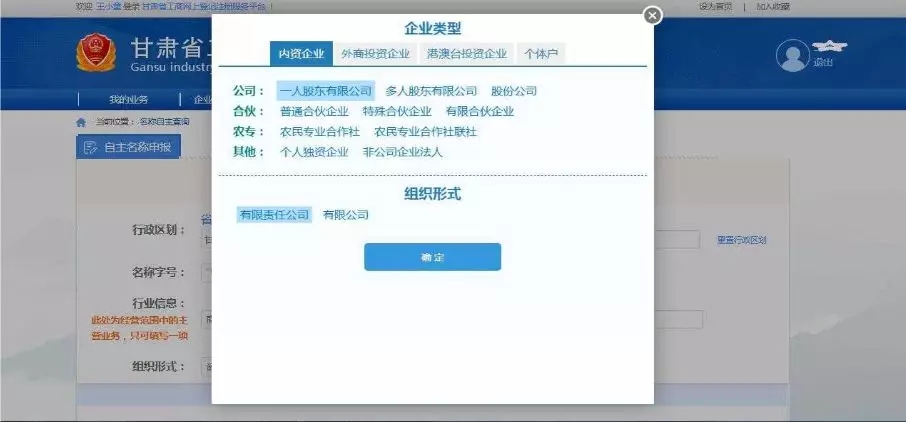 選擇各個(gè)企業(yè)類(lèi)型的組織形式