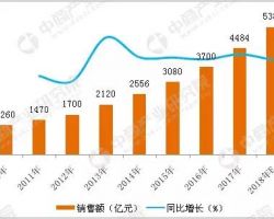 2018年中國康復(fù)器械行業(yè)市場前景研究報告